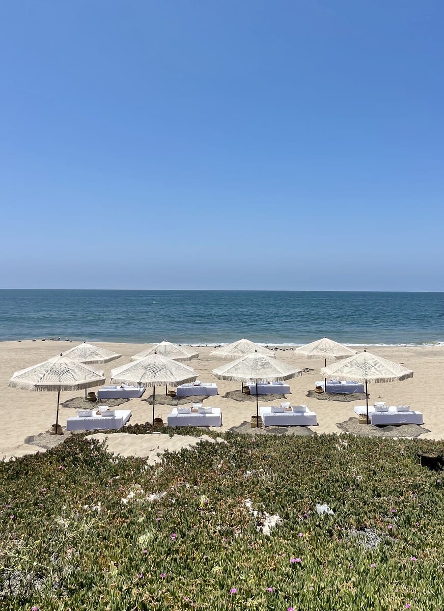 The Beach Society_IMG_0403