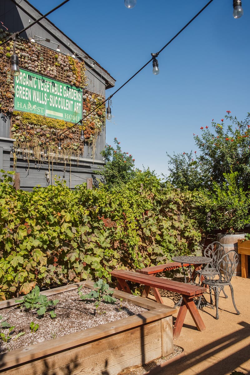 20191125_HannahWilson_HarvesttoHome_WEB-005