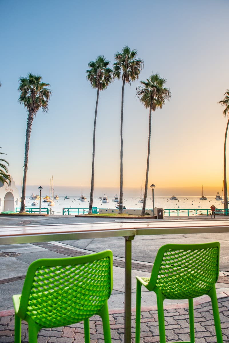 Bellanca_web_size-084