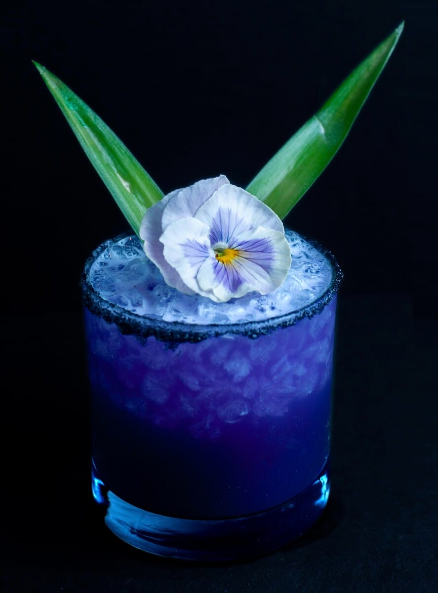 Graceland Speakeasy Butterfly