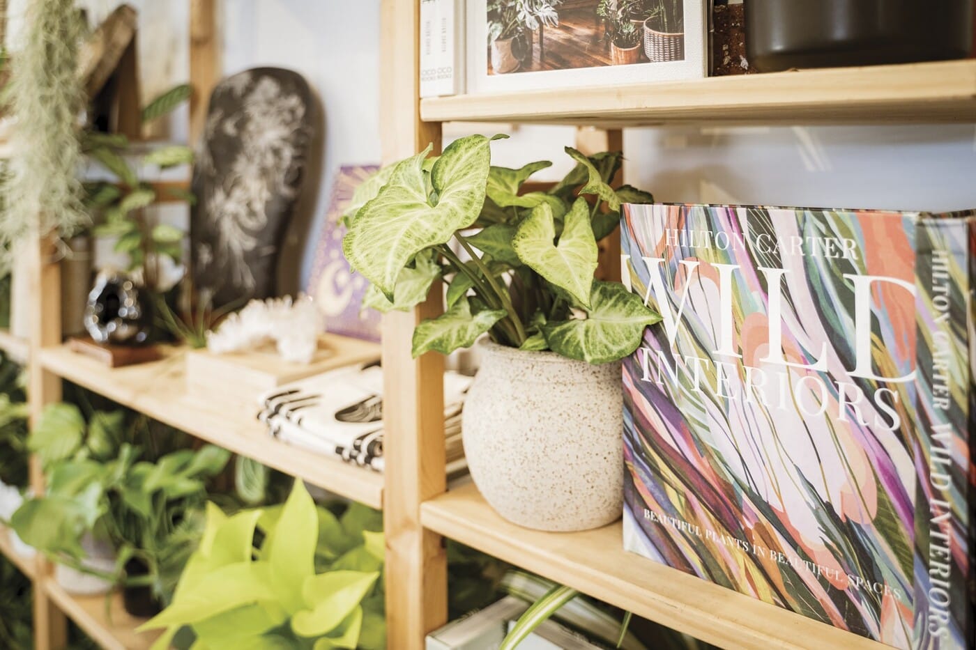 20210827_MaryCarolFitzgerald_TheRisingCo_004-min