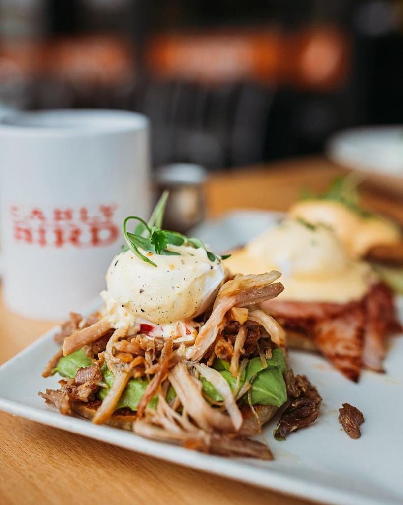 Early Bird_1b3b20b3-2389-42f8-856f-d4bc615a5598