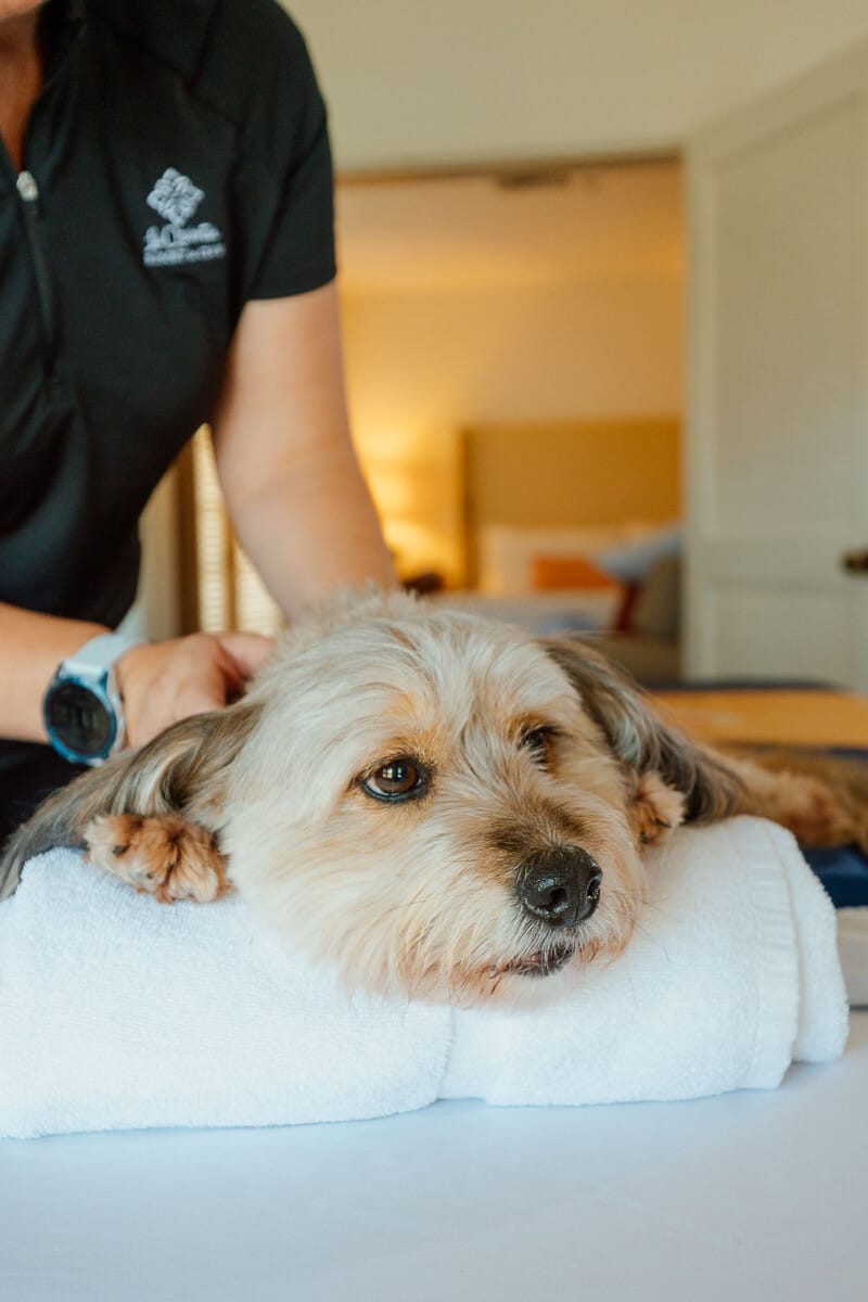 20220823_WyattFaller_SpaLaQuinta_-088