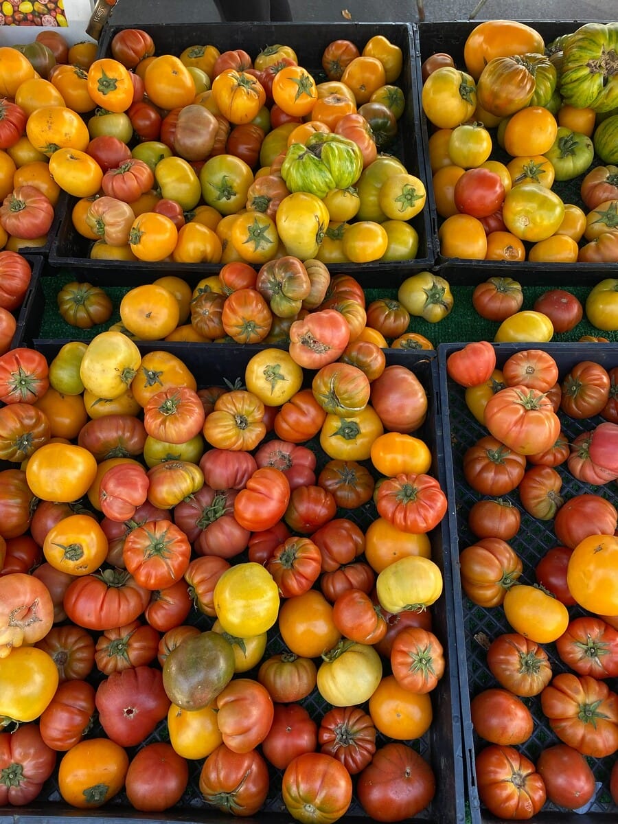 Laguna Beach Farmers Market - Image from iOS (2)