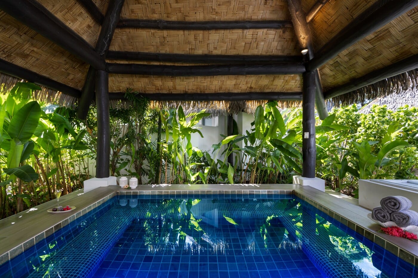 Sofitel Spa Plunge Pool