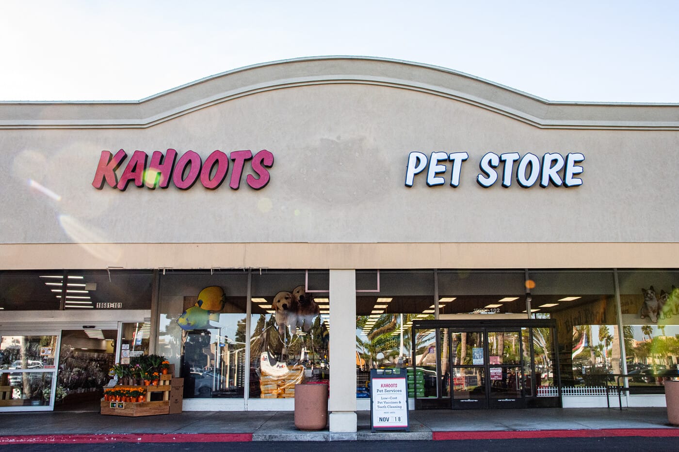 5 Points Plaza 20211115_PaulBivens_Kahoots_003