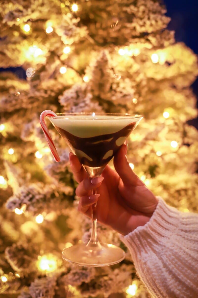 Manchester Grand Hyatt San Diego IMG_6563 (1)