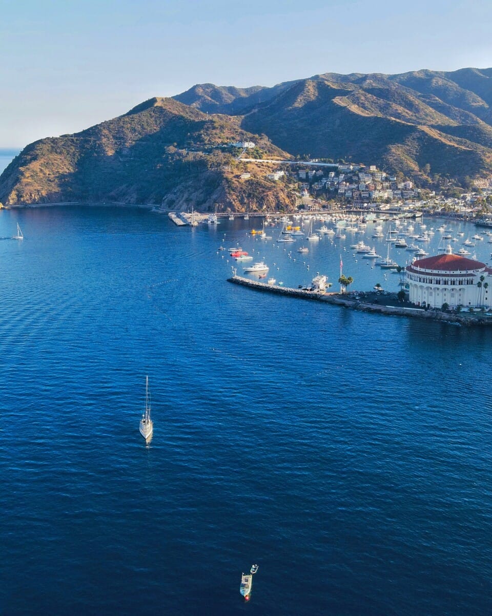 Catalina Island Credit Scott Fairchild (2)