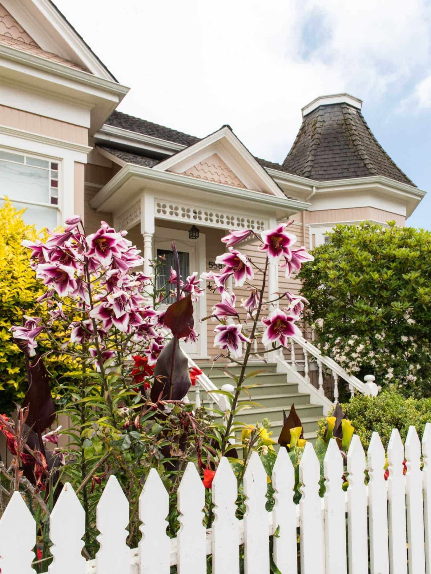 Credit- Leon Villagomez for Ferndale Chamber of Commerce - Ferndale (43)-min