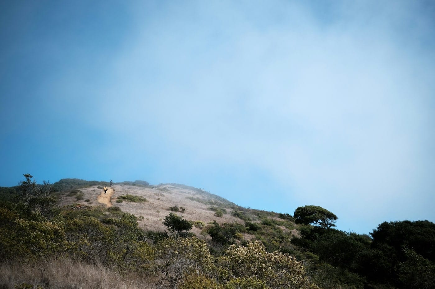 Credit Maxwell Ingham on Unsplash-min