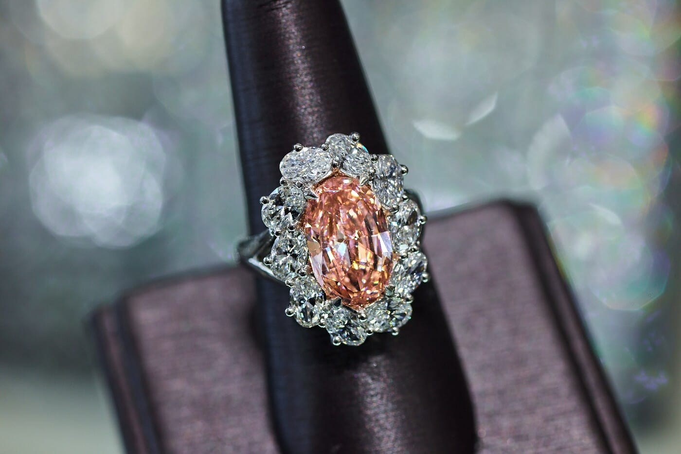 El Paseo Jewelers 2023-02-28_MattBeardPhoto_ElPaseoJewelers_105