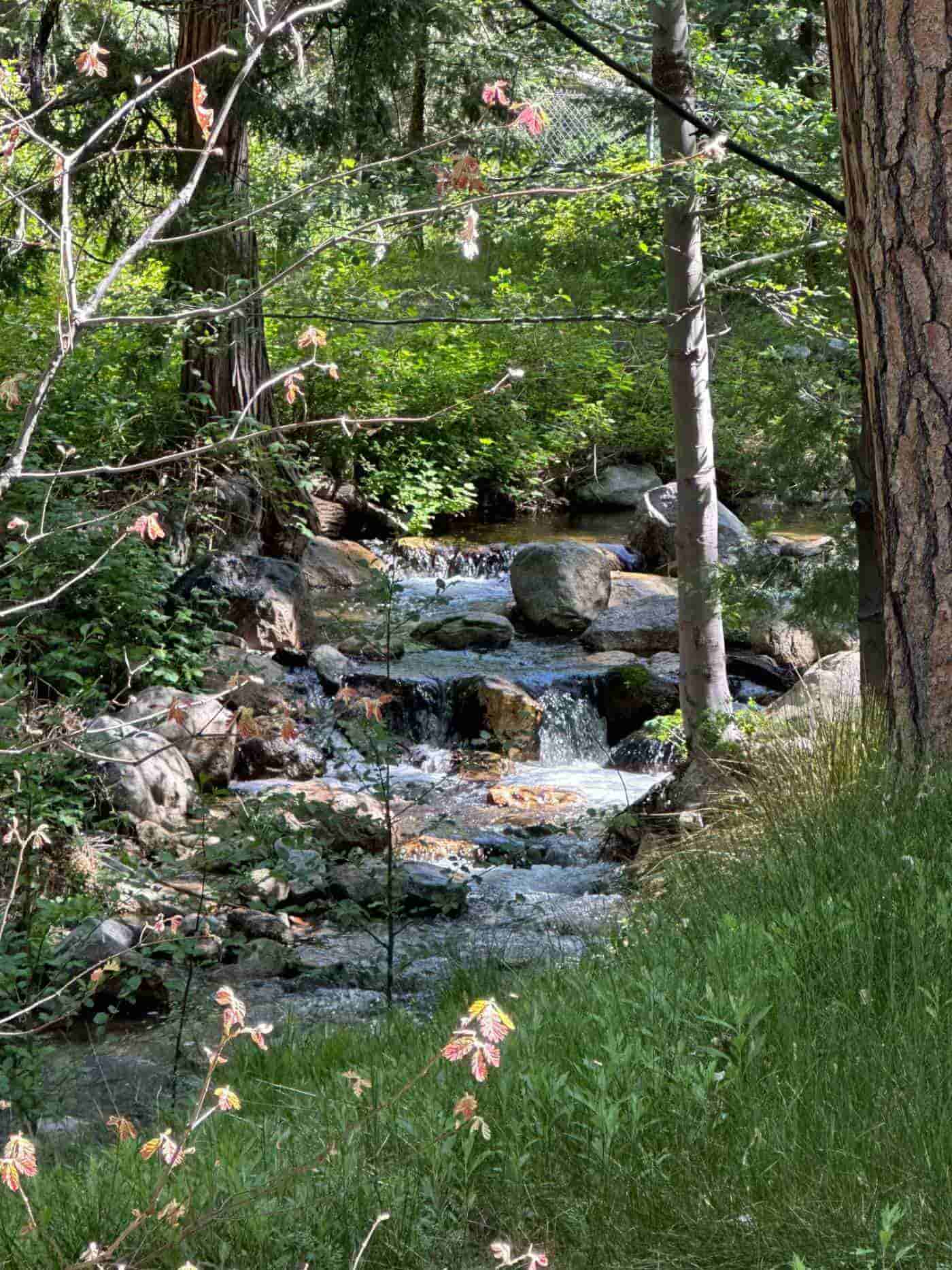 Idyllwild image3-min