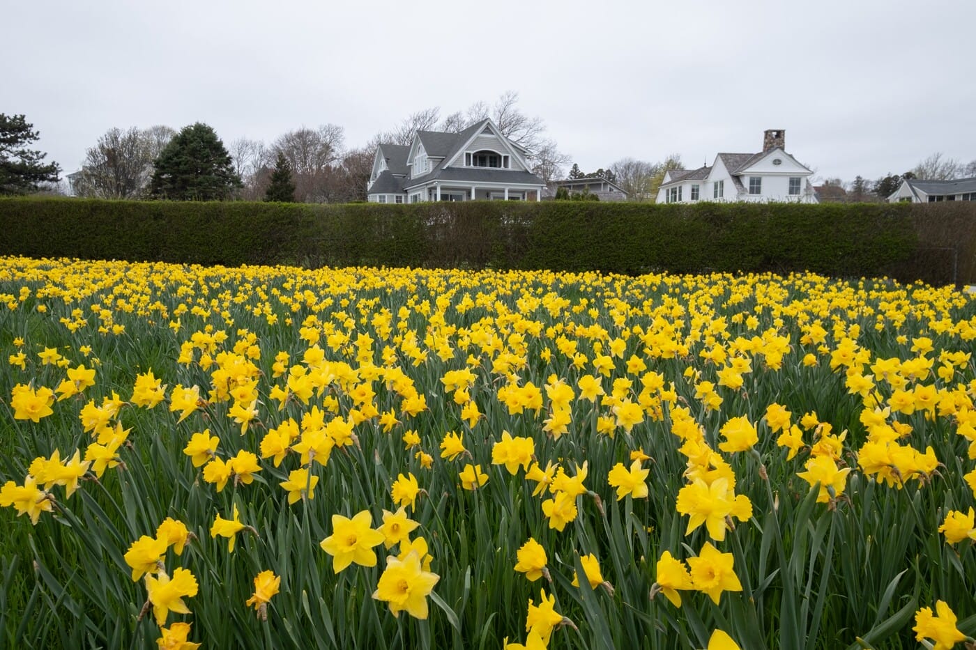 Breeze Airways DSCF0092