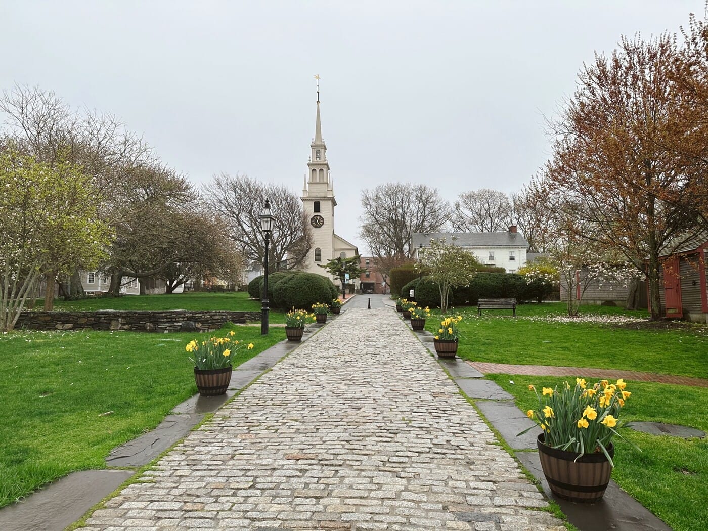 Breeze Airways Tezza-1703