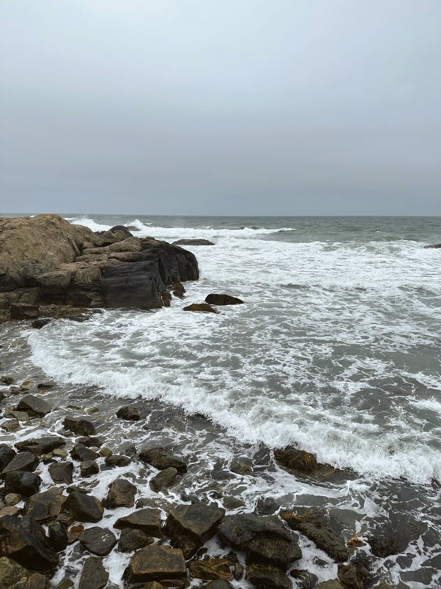 Breeze Airways Tezza-9411