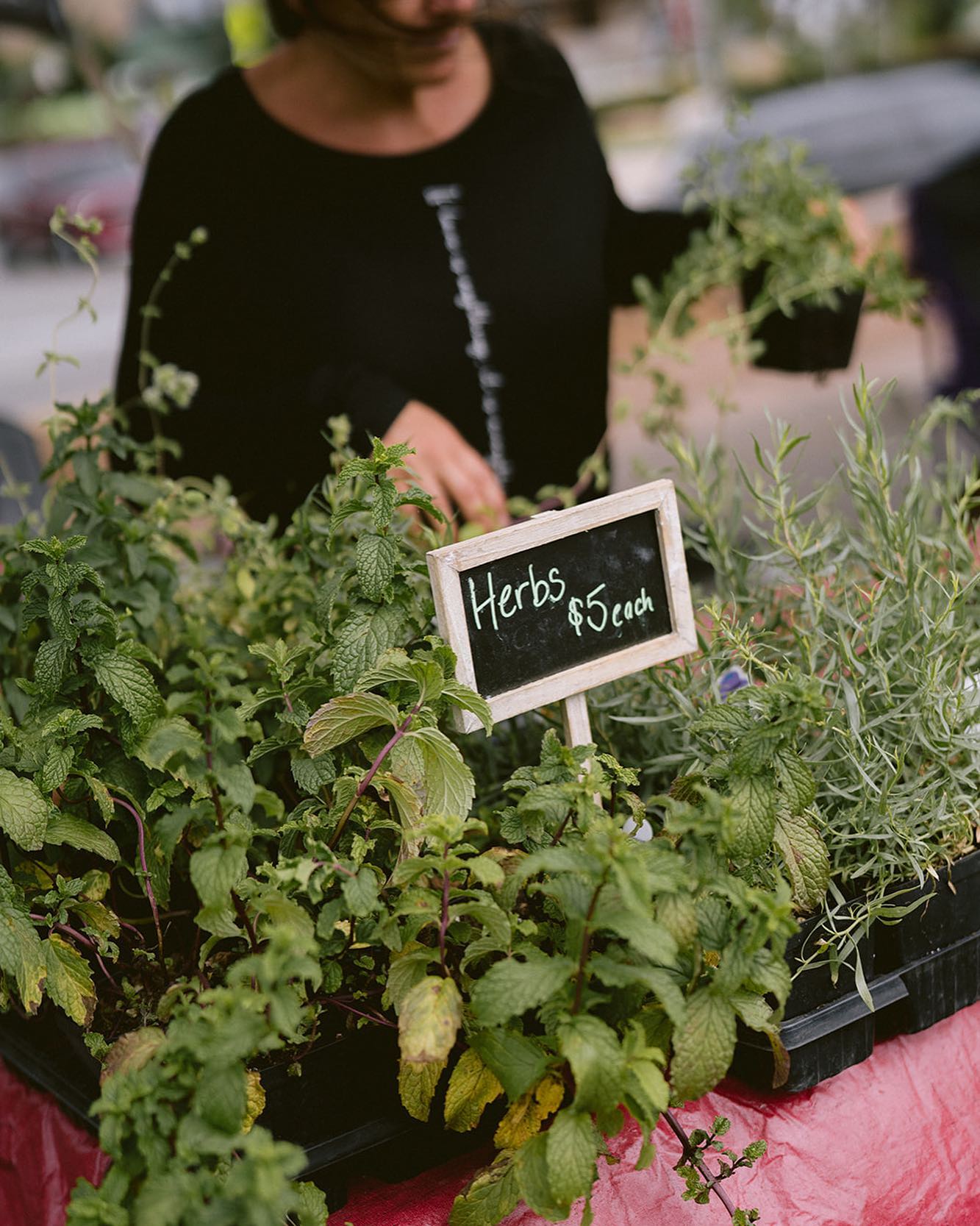 Edwards Farmers Market farmers market 1