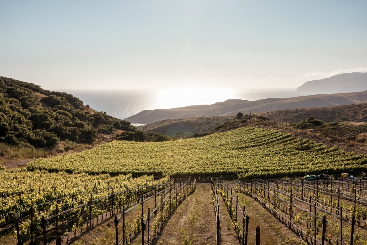 El Rancho Escondido 258A4605-min