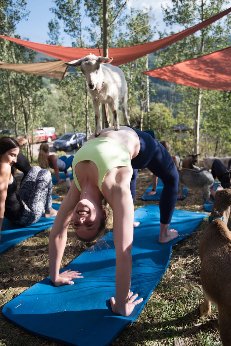 Vail_Goat_Yoga_P-Jack_Affleck0004