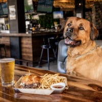 Best Dog-Friendly Patios in San Diego