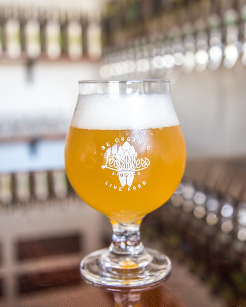 LeashlessBrewing_VisitVentura