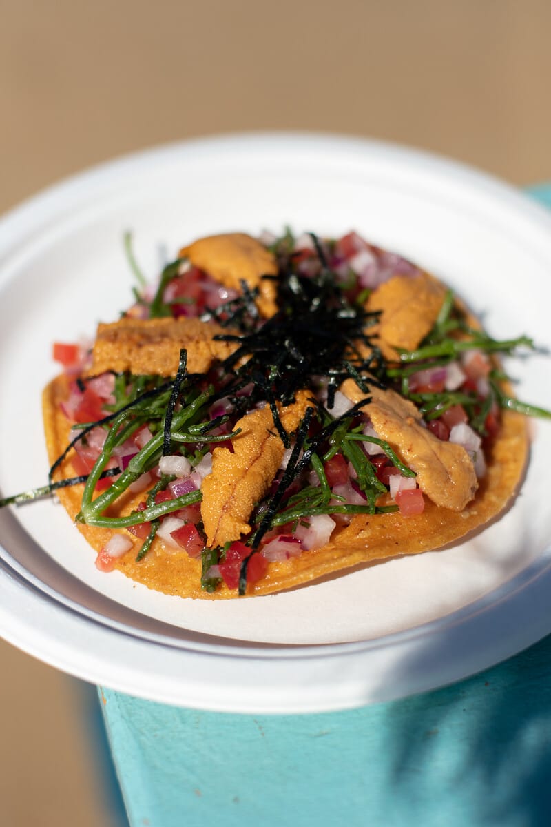 The Jolly Oyster (6)