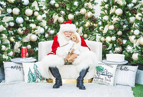 Holiday Shopping The Forum Carlsbad
