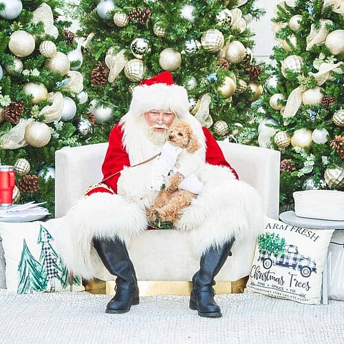 Holiday Shopping The Forum Carlsbad