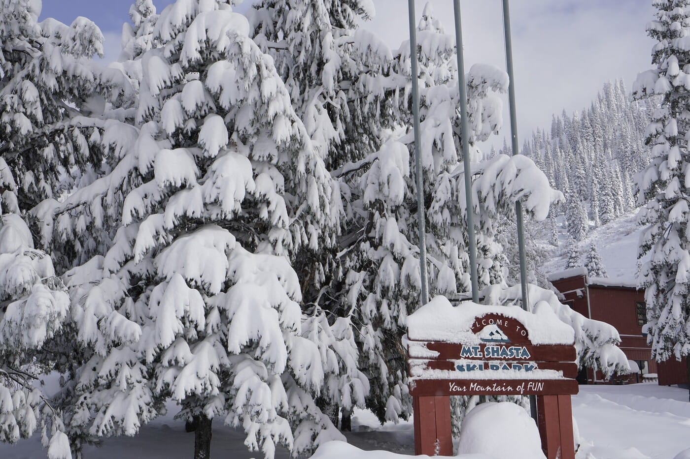 _Mount Shasta Ski Park_DSC5725-min