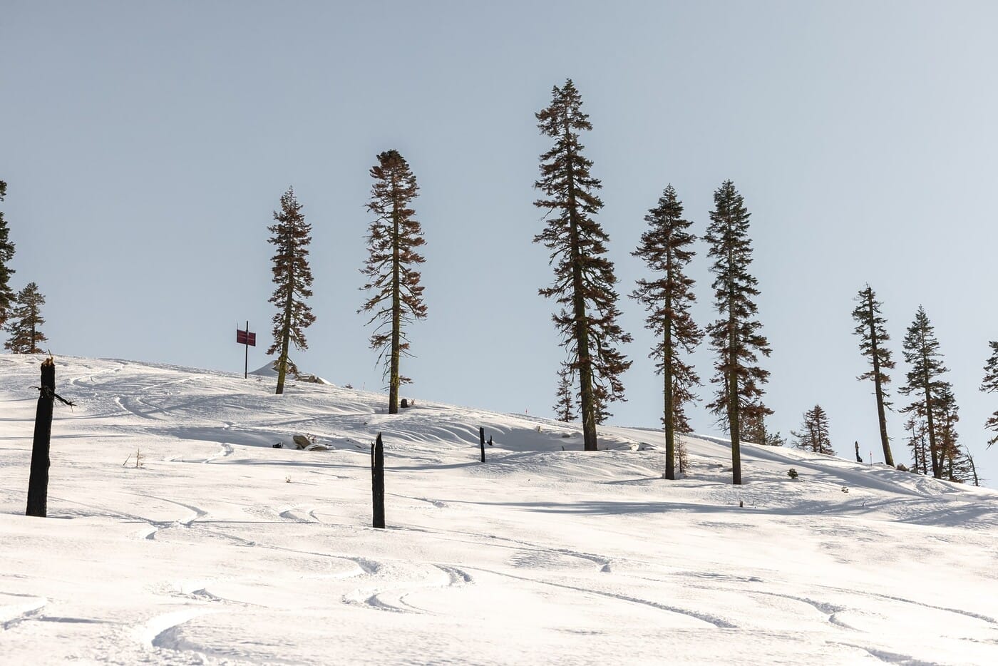 Sierra-at-Tahoe_20221214_BrianWalker_00797-1800x1201-6008131d-a883-4091-b5d0-2a4f0714cf9e-min