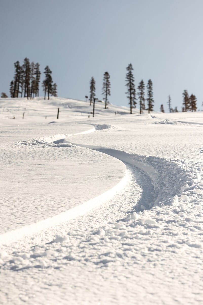 Sierra-at-Tahoe_20221214_BrianWalker_00846-1201x1800-f329553e-b69e-4260-80b3-1ebb28f09918-min