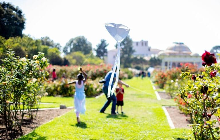 Exposition Park Rose Garden 2