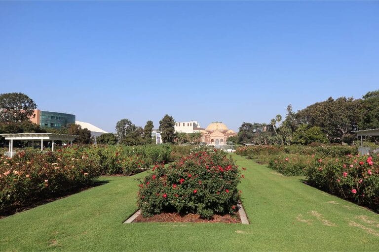 Exposition Park Rose Garden 3