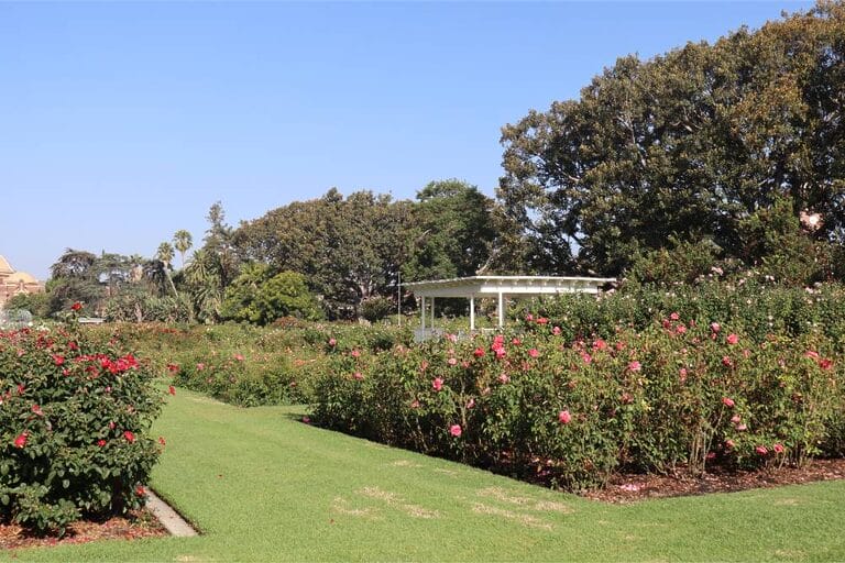 Exposition Park Rose Garden 4