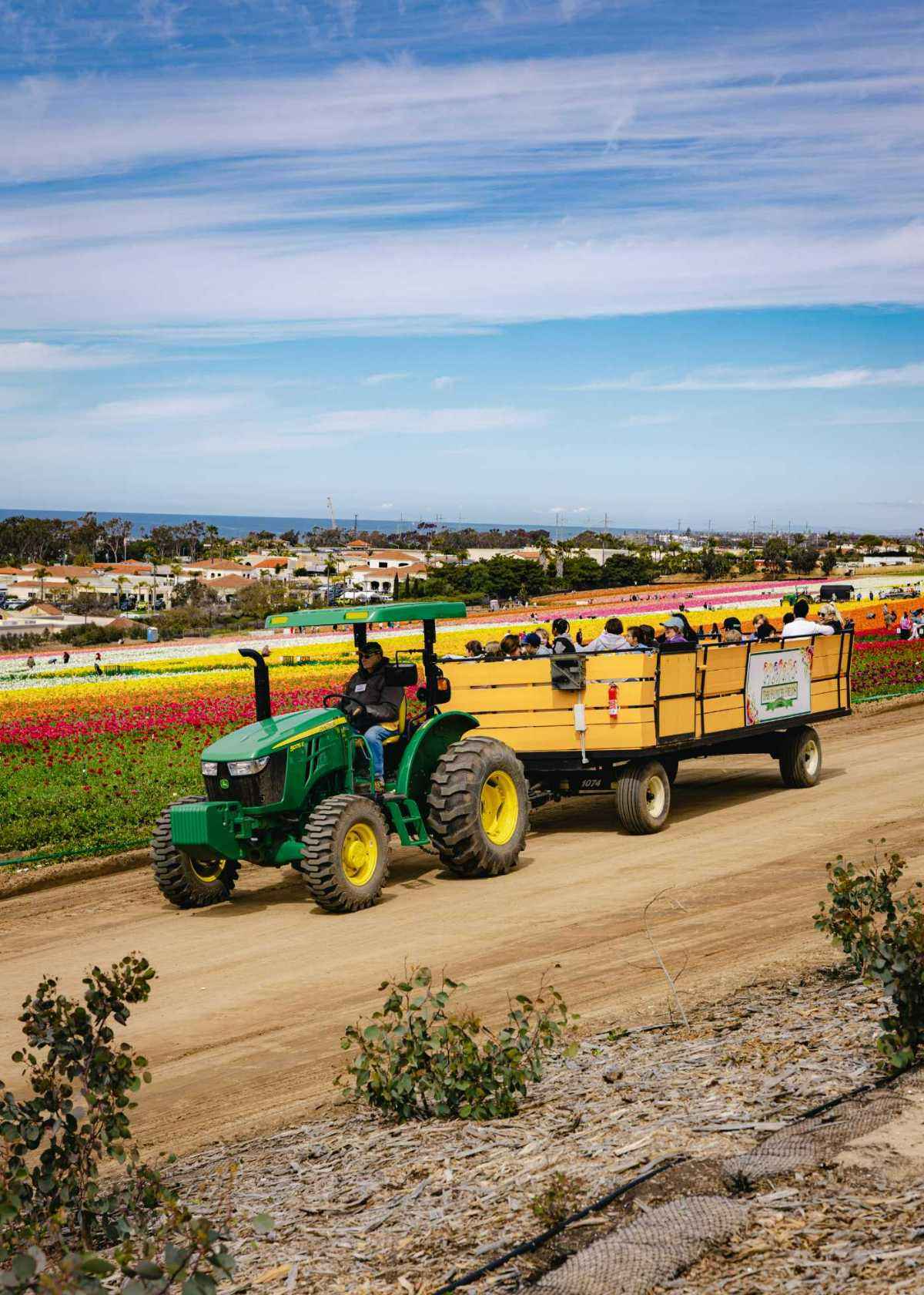 The Cassara Carlsbad 452A7226