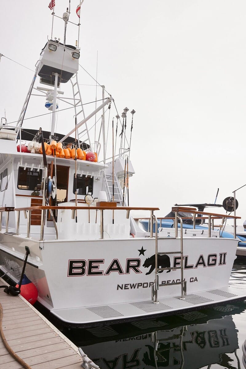 2023.10.15-Bearflag-Timothy-kwon (1)-min