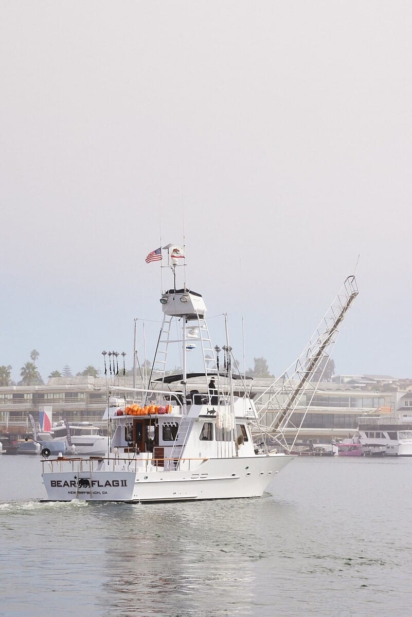 2023.10.15-Bearflag-Timothy-kwon (12)-min