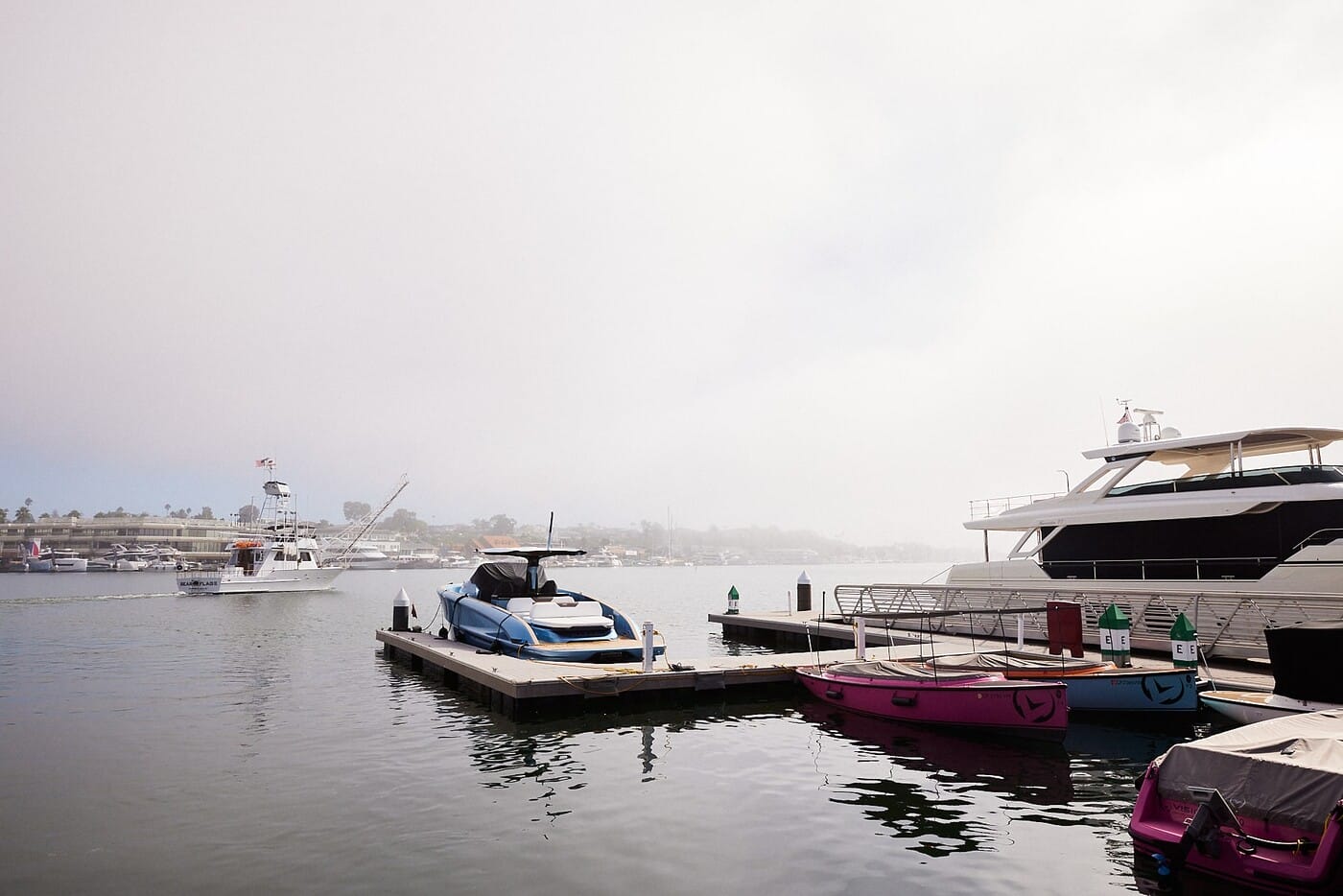 2023.10.15-Bearflag-Timothy-kwon (13)-min