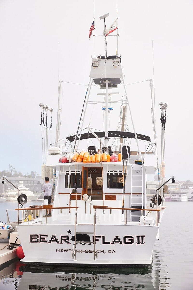 2023.10.15-Bearflag-Timothy-kwon (9)-min