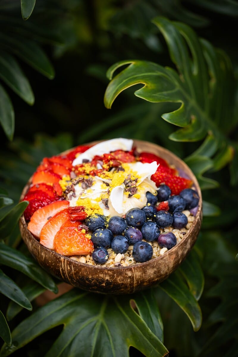 Sunlife Organics PointDume_feb2024-36-min