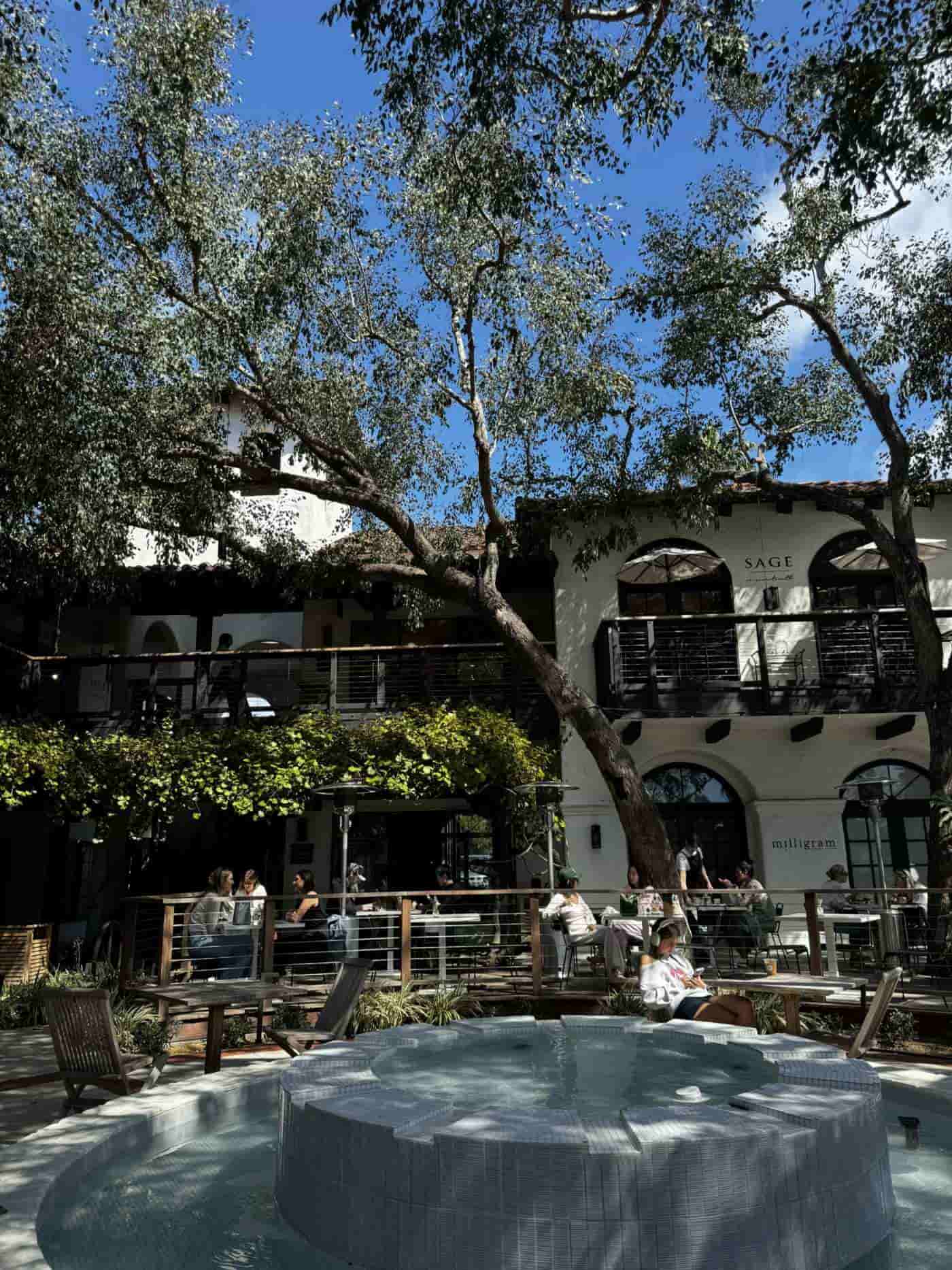 Paseo 17 IMG_2944-min