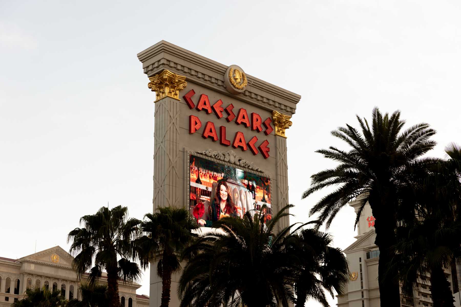 Palm & Ocean Caesars Palace Marquee