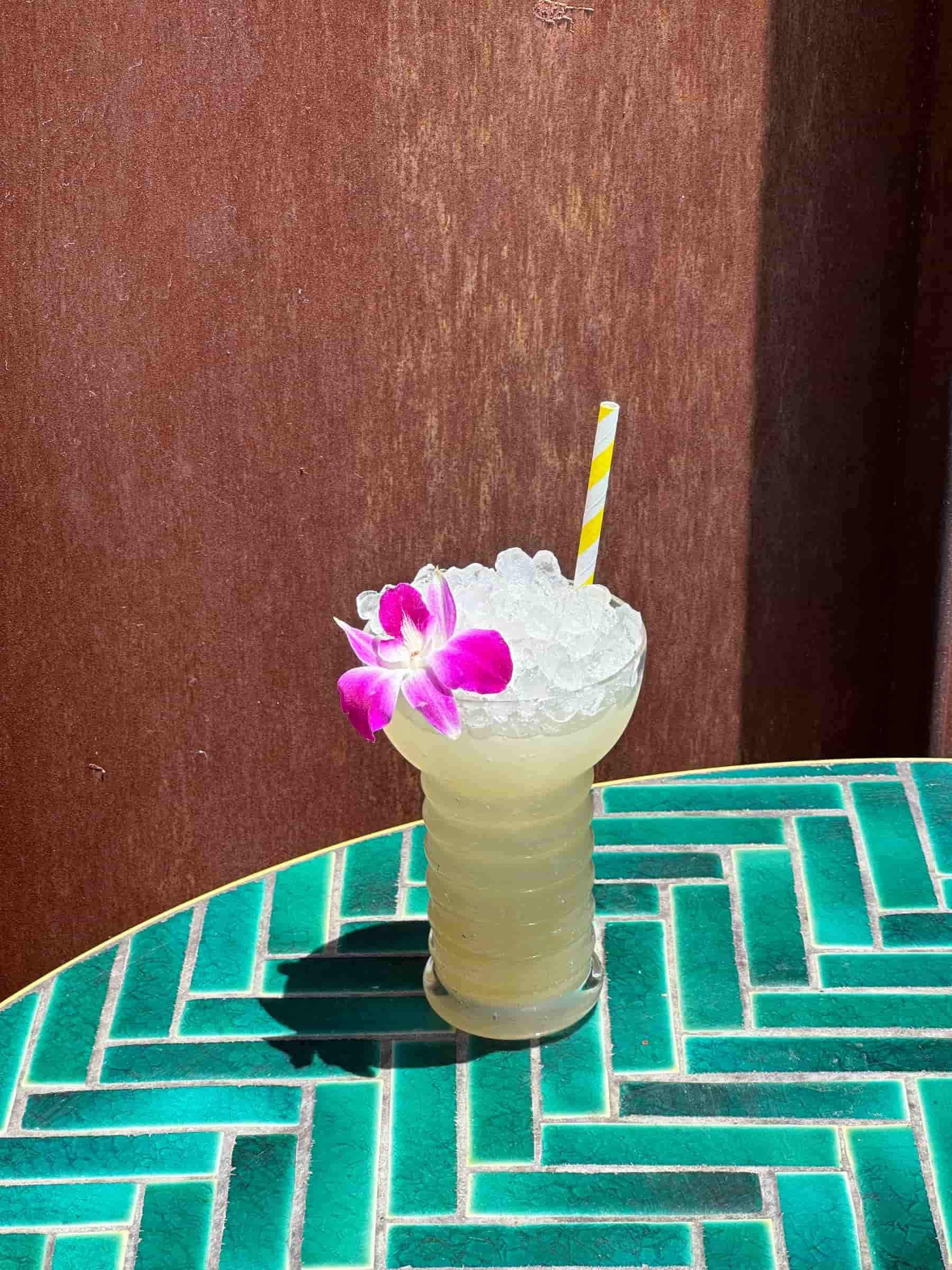 _Palm Canyon Swim & Social Photo Jun 13 2024, 1 16 34 PM-min