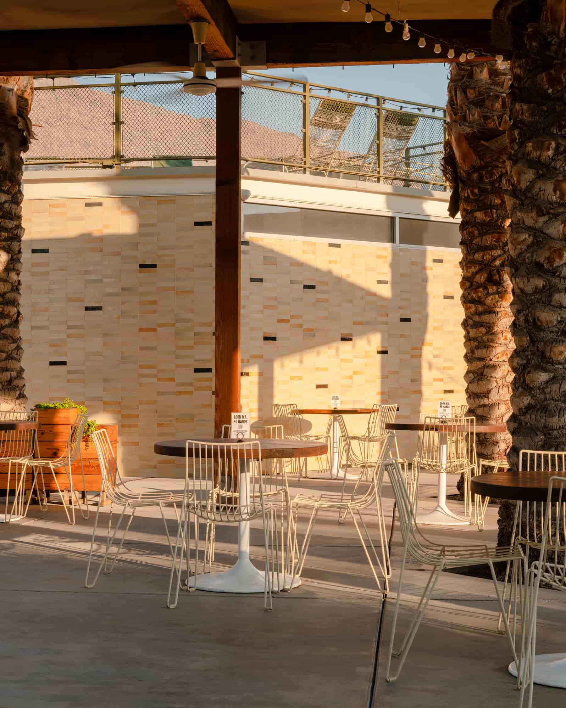 Poolside at Ace Hotel and Desert Daycation Swim Club-img- (8)-min