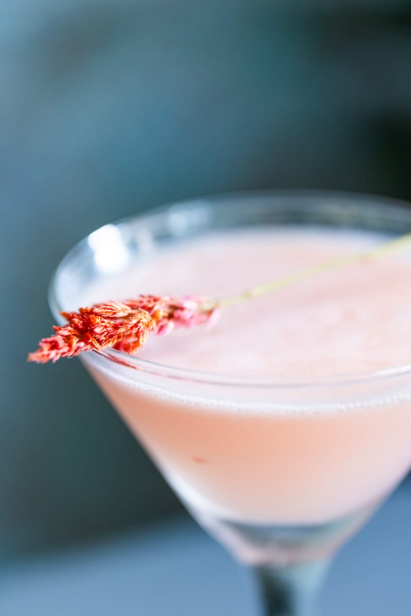 mw_kw_LSV_azucarfd10_v1_webres