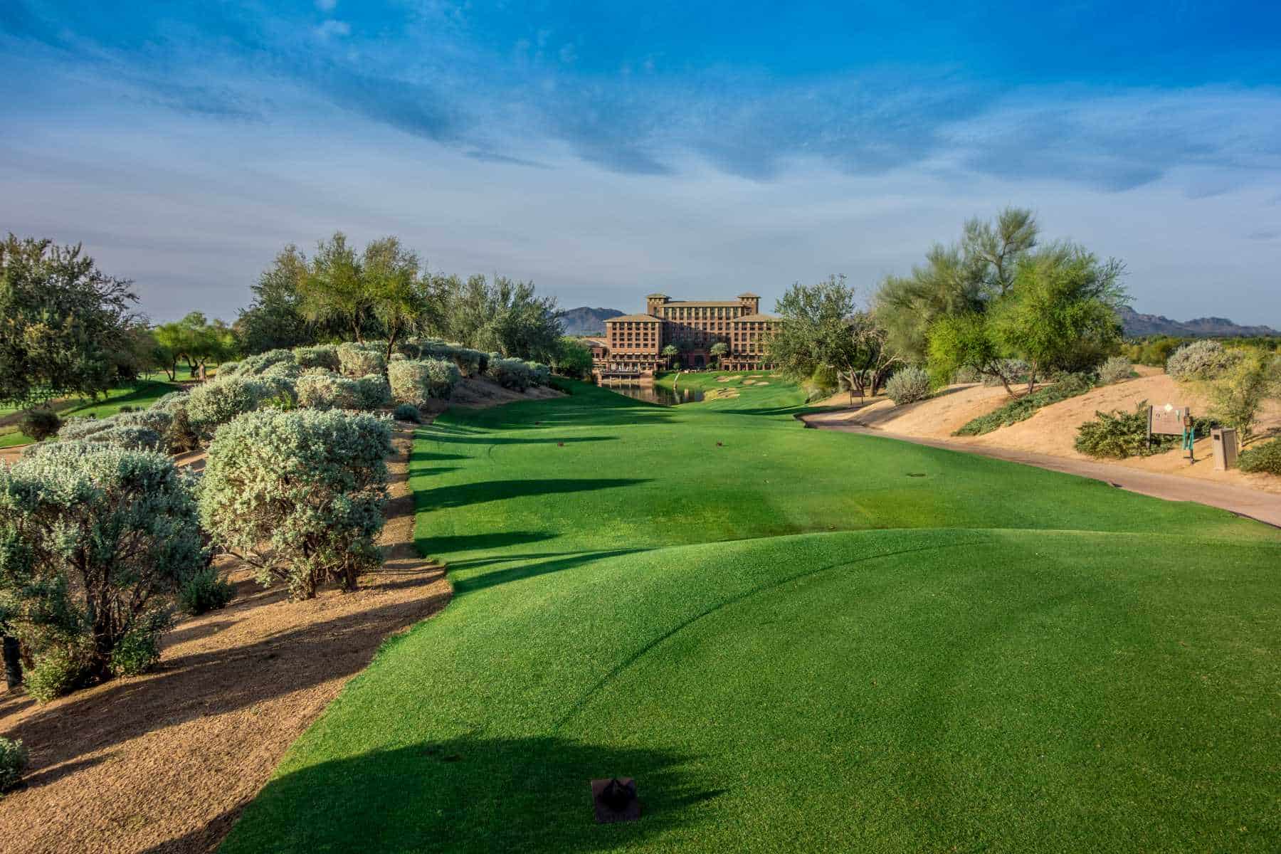 The Westin Kierland DSC05701 Acacia 9 ground