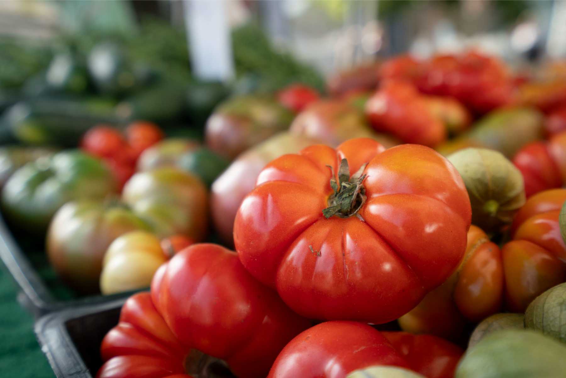 Studio City Farmers Market Credit_ Sonia Keshishian - SCFM_115