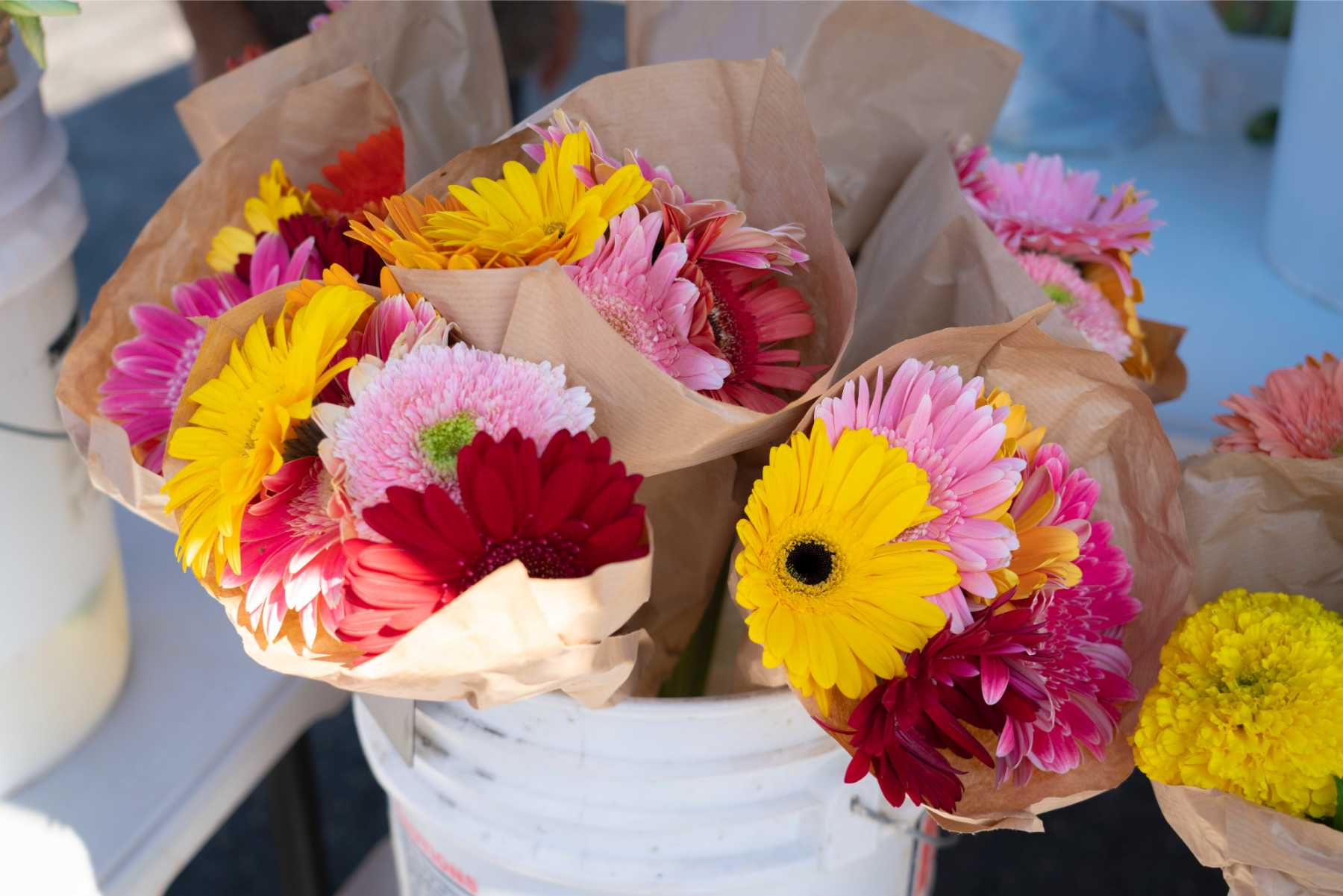 Studio City Farmers Market Credit_ Sonia Keshishian - SCFM_177