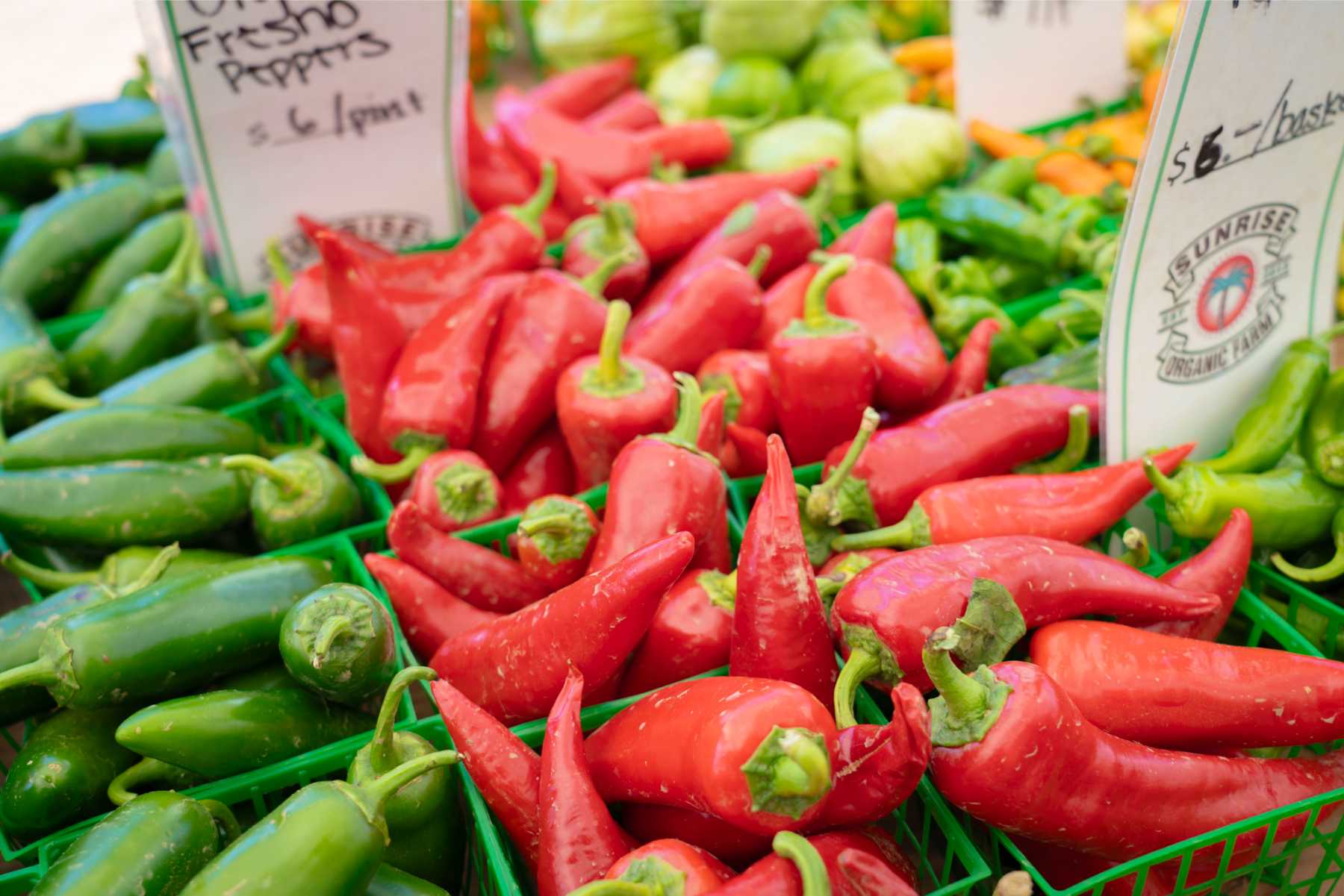 Studio City Farmers Market Credit_ Sonia Keshishian - SCFM_186