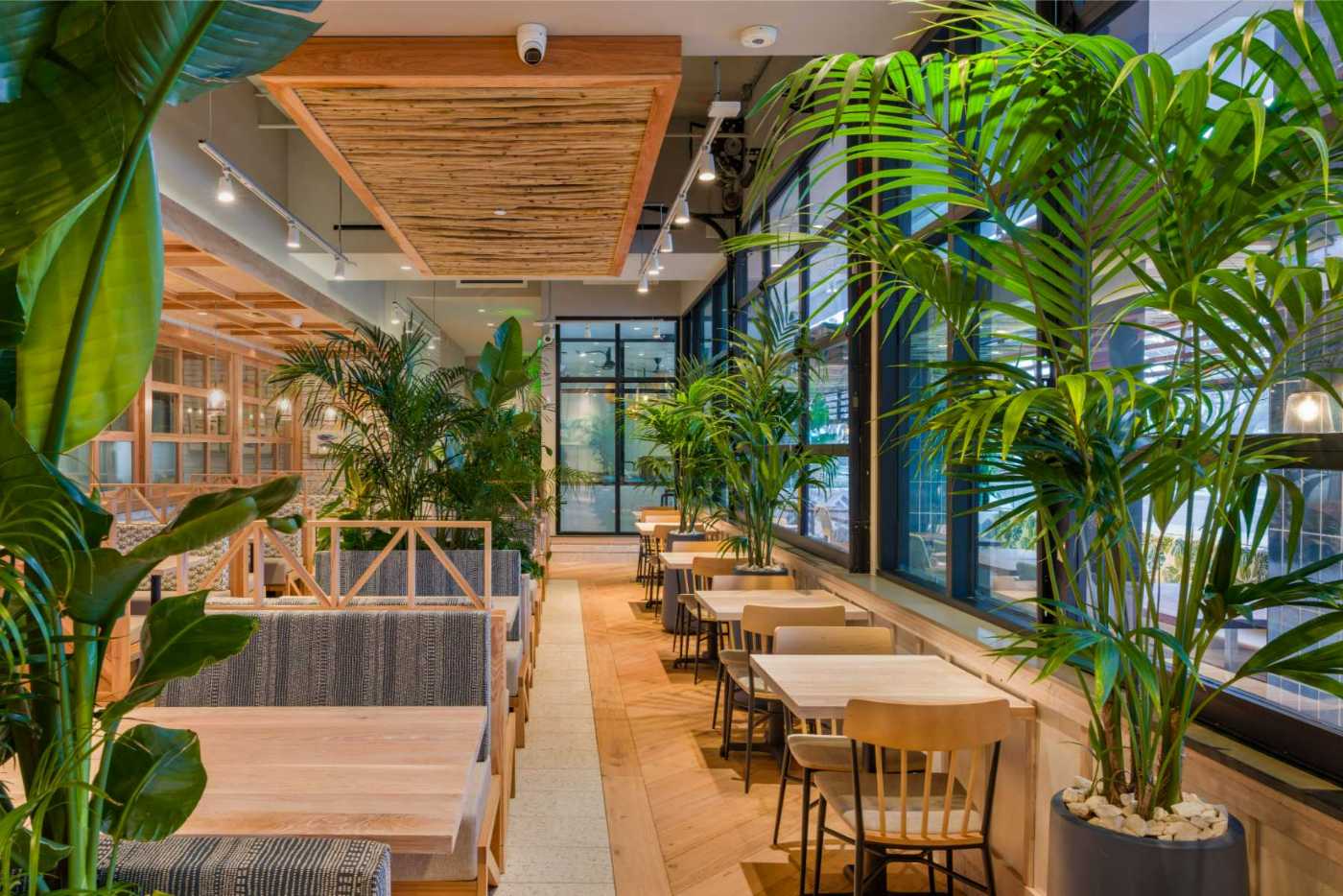 Copy of Pacific Catch - 003