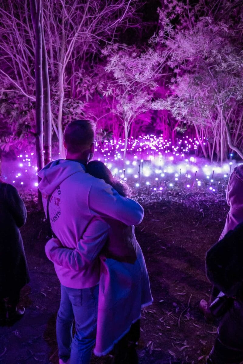 Astra Lumina Credit- Moment Factory - img (13)-min